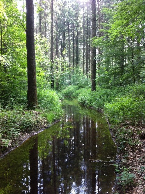 't Hoge land van Vollenhove